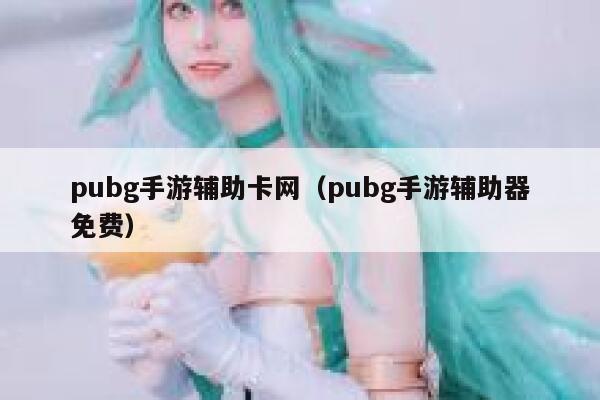 pubg手游辅助卡网（pubg手游辅助器免费） 第1张