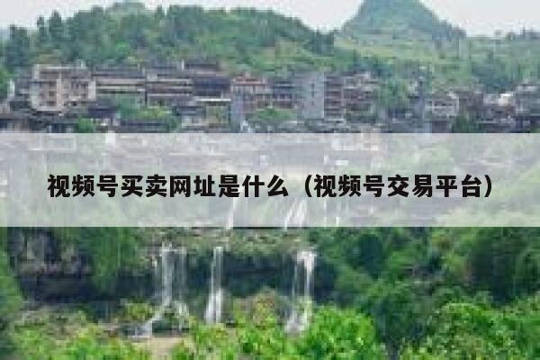 视频号买卖网址是什么（视频号交易平台） 第1张