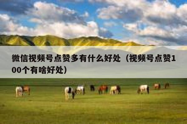 微信视频号点赞多有什么好处（视频号点赞100个有啥好处） 第1张