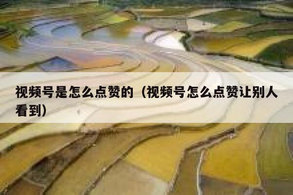 视频号是怎么点赞的（视频号怎么点赞让别人看到） 第1张