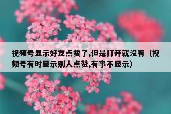 视频号显示好友点赞了,但是打开就没有（视频号有时显示别人点赞,有事不显示） 第1张