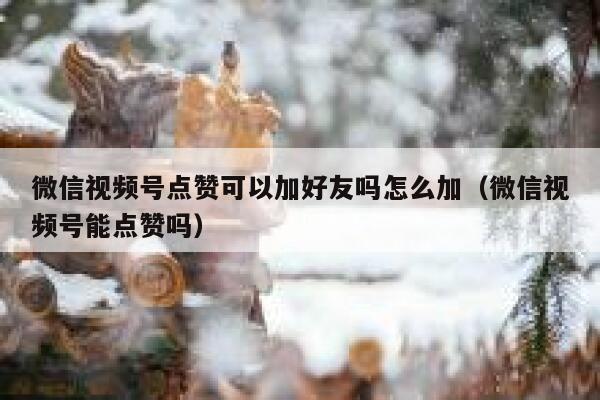 微信视频号点赞可以加好友吗怎么加（微信视频号能点赞吗） 第1张