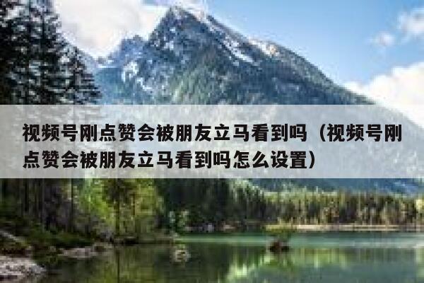 视频号刚点赞会被朋友立马看到吗(视频号刚点赞会被朋友立马看到吗怎么设置) 第1张 视频号刚点赞会被朋友立马看到吗(视频号刚点赞会被朋友立马看到吗怎么设置) 第1张