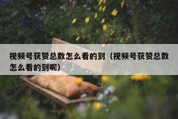 视频号获赞总数怎么看的到（视频号获赞总数怎么看的到呢） 第1张