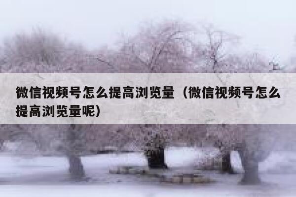 微信视频号怎么提高浏览量（微信视频号怎么提高浏览量呢） 第1张