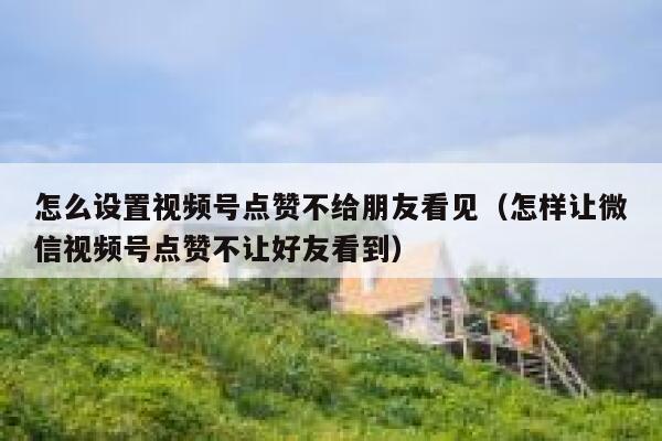 怎么设置视频号点赞不给朋友看见（怎样让微信视频号点赞不让好友看到） 第1张