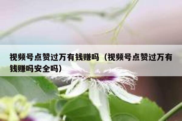 视频号点赞过万有钱赚吗（视频号点赞过万有钱赚吗安全吗） 第1张