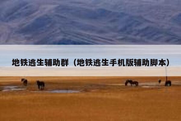 地铁逃生辅助群(地铁逃生手机版辅助脚本) 第1张 地铁逃生辅助群(地铁逃生手机版辅助脚本) 第1张