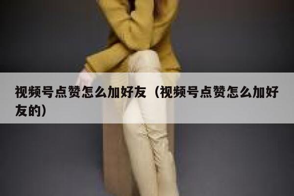 视频号点赞怎么加好友(视频号点赞怎么加好友的) 第1张 视频号点赞怎么加好友(视频号点赞怎么加好友的) 第1张