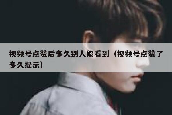 视频号点赞后多久别人能看到（视频号点赞了多久提示） 第1张