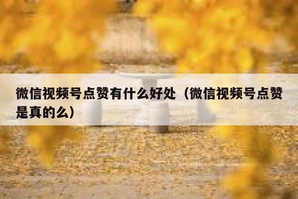 微信视频号点赞有什么好处(微信视频号点赞是真的么) 第1张 微信视频号点赞有什么好处(微信视频号点赞是真的么) 第1张