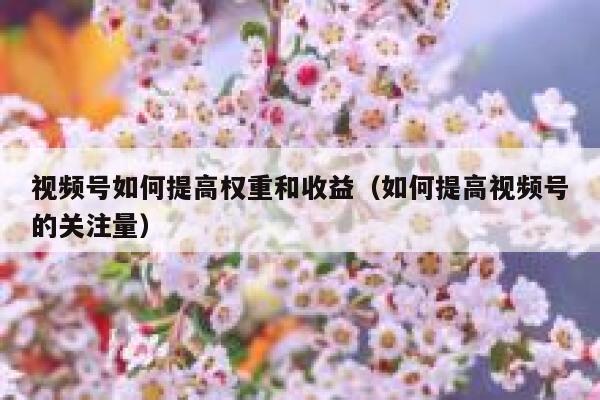 视频号如何提高权重和收益(如何提高视频号的关注量) 第1张 视频号如何提高权重和收益(如何提高视频号的关注量) 第1张