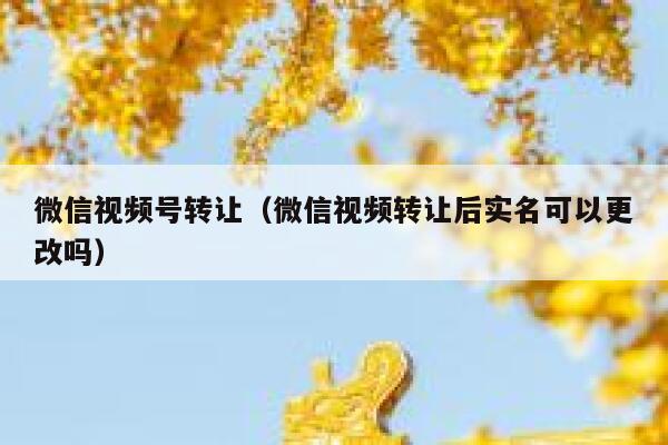微信视频号转让（微信视频转让后实名可以更改吗） 第1张