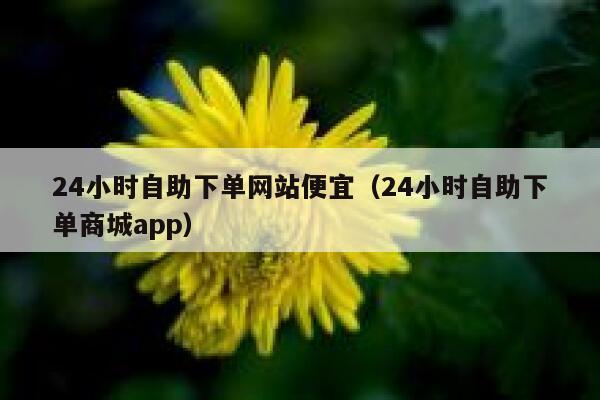 24小时自助下单网站便宜（24小时自助下单商城app） 第1张