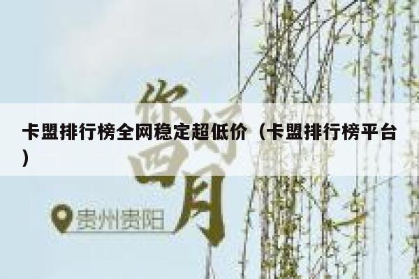 卡盟排行榜全网稳定超低价（卡盟排行榜平台） 第1张