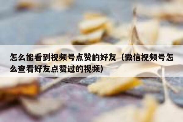 怎么能看到视频号点赞的好友(微信视频号怎么查看好友点赞过的视频) 第1张 怎么能看到视频号点赞的好友(微信视频号怎么查看好友点赞过的视频) 第1张