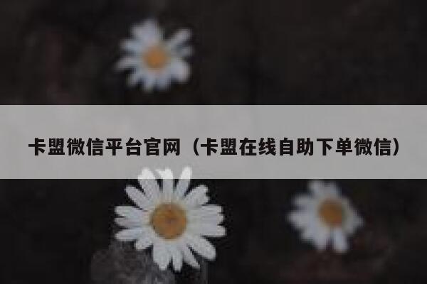 卡盟微信平台官网（卡盟在线自助下单微信） 第1张