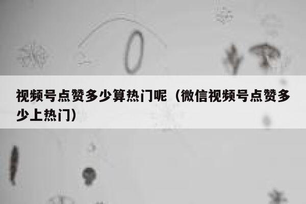 视频号点赞多少算热门呢（微信视频号点赞多少上热门） 第1张