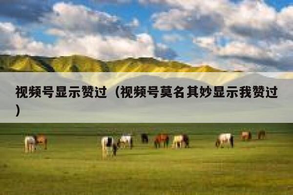 视频号显示赞过（视频号莫名其妙显示我赞过） 第1张