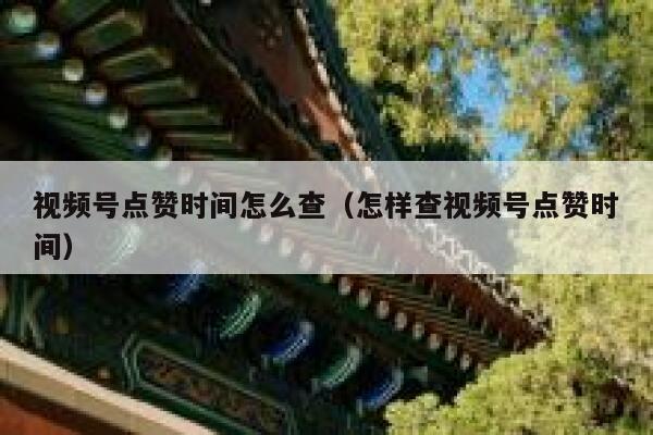 视频号点赞时间怎么查（怎样查视频号点赞时间） 第1张