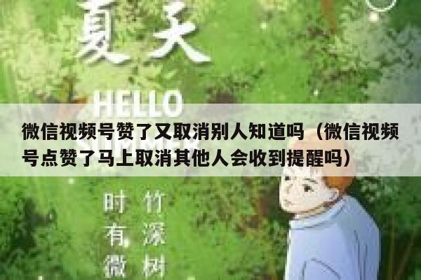 微信视频号赞了又取消别人知道吗（微信视频号点赞了马上取消其他人会收到提醒吗） 第1张
