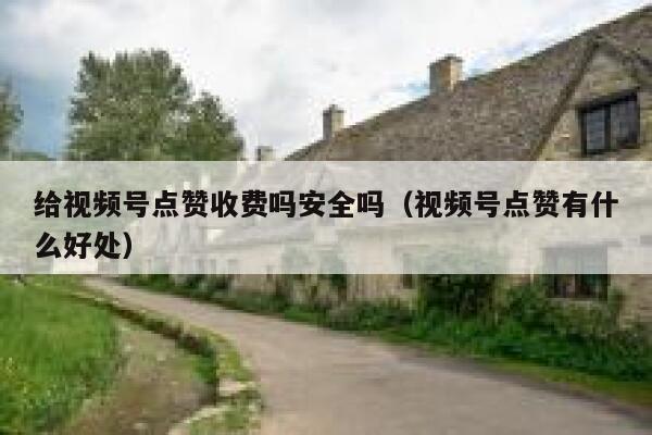 给视频号点赞收费吗安全吗（视频号点赞有什么好处） 第1张