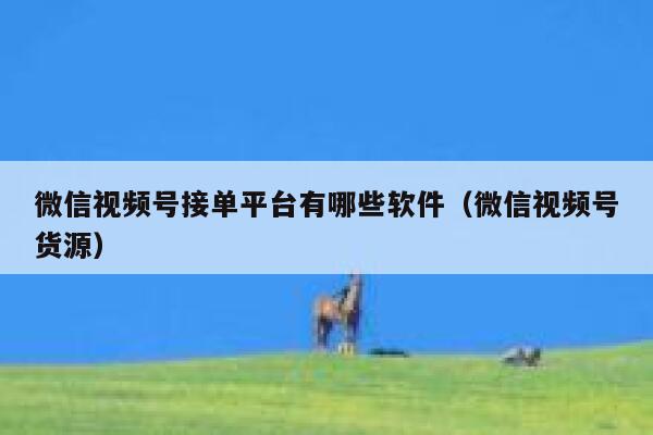 微信视频号接单平台有哪些软件(微信视频号货源) 第1张 微信视频号接单平台有哪些软件(微信视频号货源) 第1张