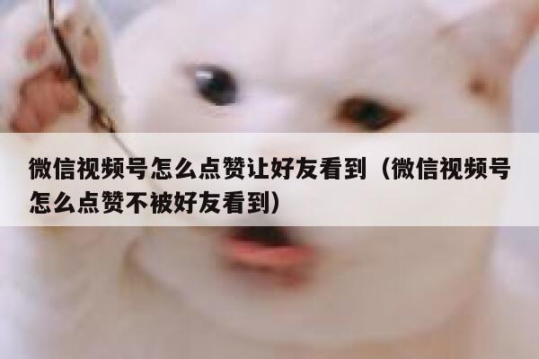 微信视频号怎么点赞让好友看到（微信视频号怎么点赞不被好友看到） 第1张