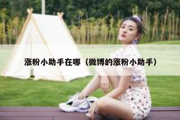 涨粉小助手在哪（微博的涨粉小助手） 第1张