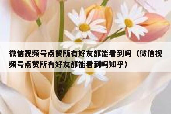 微信视频号点赞所有好友都能看到吗（微信视频号点赞所有好友都能看到吗知乎） 第1张