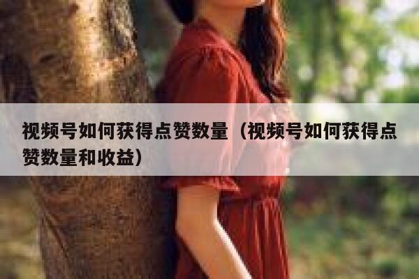 视频号如何获得点赞数量（视频号如何获得点赞数量和收益） 第1张