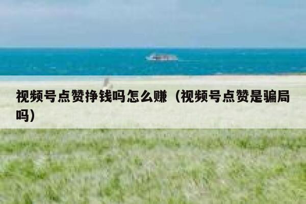 视频号点赞挣钱吗怎么赚（视频号点赞是骗局吗） 第1张