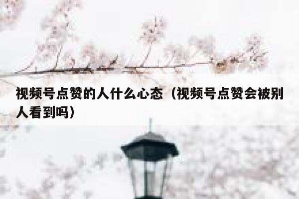 视频号点赞的人什么心态（视频号点赞会被别人看到吗） 第1张