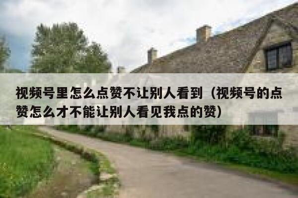 视频号里怎么点赞不让别人看到（视频号的点赞怎么才不能让别人看见我点的赞） 第1张