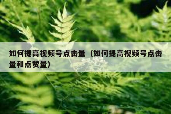 如何提高视频号点击量（如何提高视频号点击量和点赞量） 第1张
