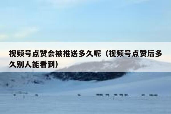 视频号点赞会被推送多久呢（视频号点赞后多久别人能看到） 第1张