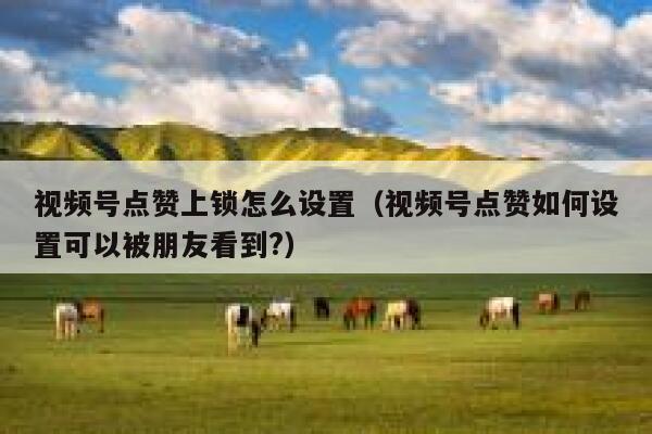 视频号点赞上锁怎么设置（视频号点赞如何设置可以被朋友看到?） 第1张