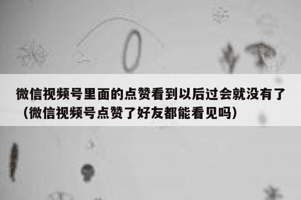 微信视频号里面的点赞看到以后过会就没有了（微信视频号点赞了好友都能看见吗） 第1张