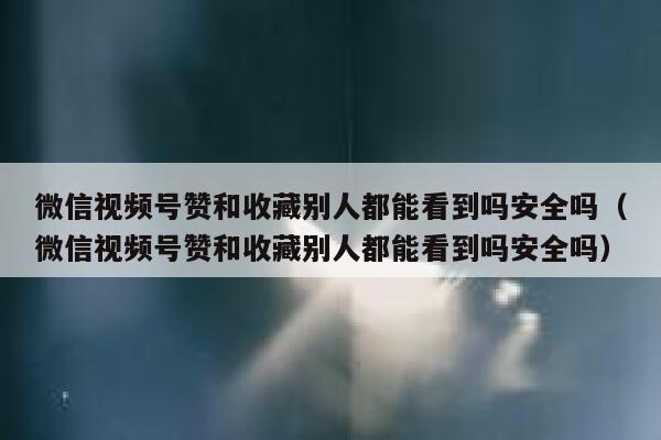 微信视频号赞和收藏别人都能看到吗安全吗（微信视频号赞和收藏别人都能看到吗安全吗） 第1张