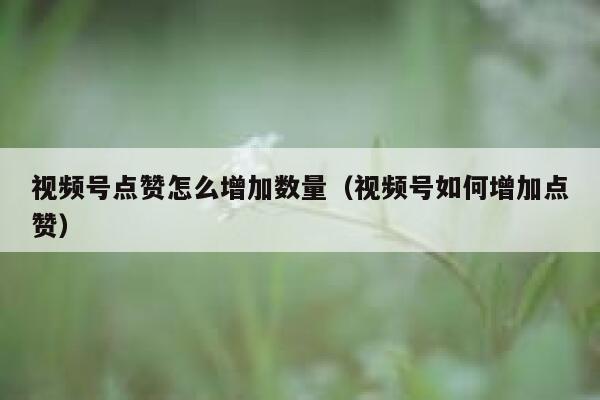 视频号点赞怎么增加数量（视频号如何增加点赞） 第1张