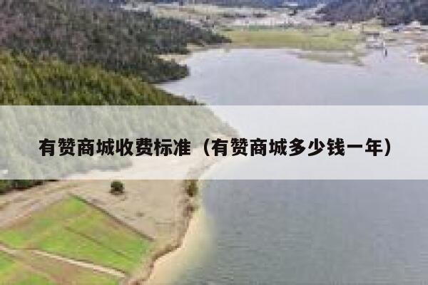 有赞商城收费标准（有赞商城多少钱一年） 第1张