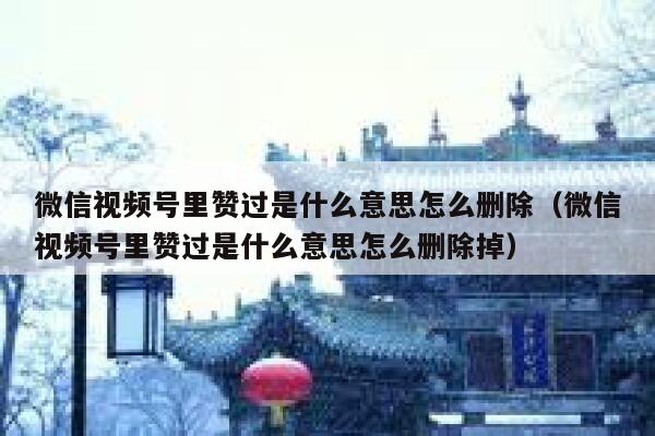 微信视频号里赞过是什么意思怎么删除（微信视频号里赞过是什么意思怎么删除掉） 第1张