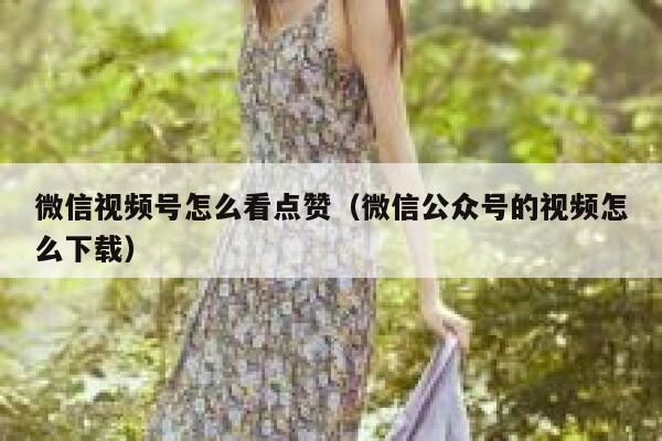微信视频号怎么看点赞（微信公众号的视频怎么下载） 第1张