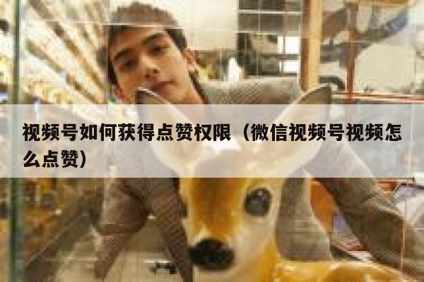 视频号如何获得点赞权限（微信视频号视频怎么点赞） 第1张