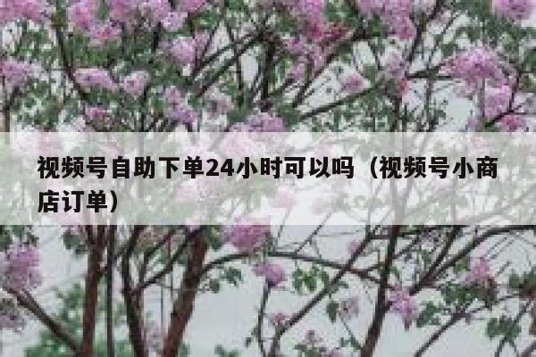 视频号自助下单24小时可以吗（视频号小商店订单） 第1张