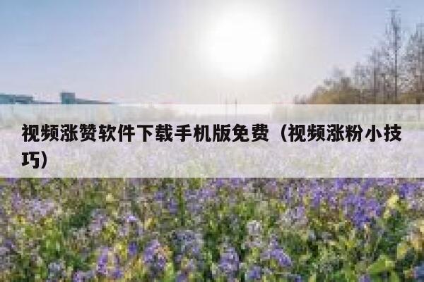 视频涨赞软件下载手机版免费（视频涨粉小技巧） 第1张