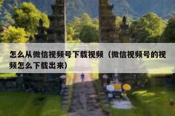 怎么从微信视频号下载视频（微信视频号的视频怎么下载出来） 第1张