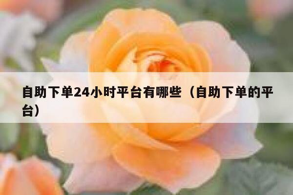 自助下单24小时平台有哪些（自助下单的平台） 第1张