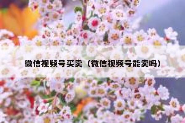 微信视频号买卖（微信视频号能卖吗） 第1张