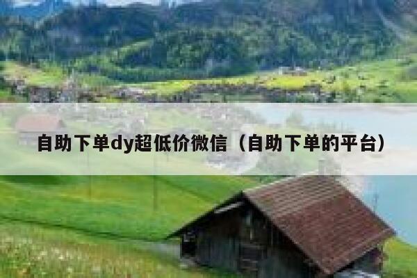 自助下单dy超低价微信（自助下单的平台） 第1张